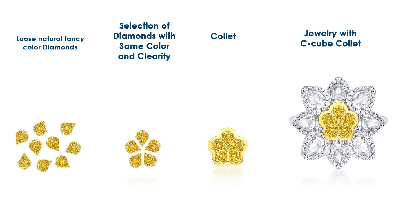 Regale and DGP collections
